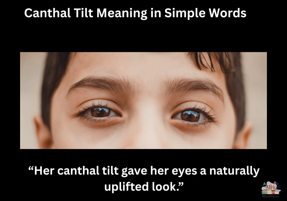 Canthal Tilt Meaning in Simple Words
