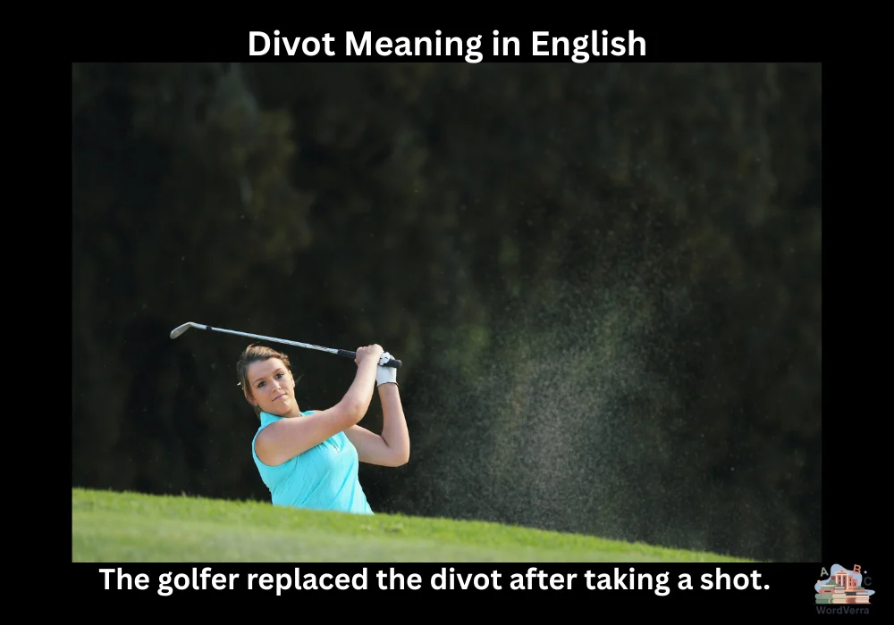 Divot Meaning in English