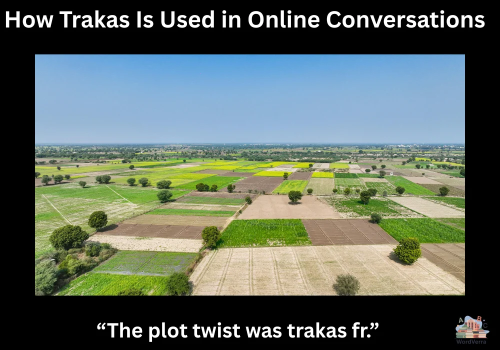 How Trakas Is Used in Online Conversations