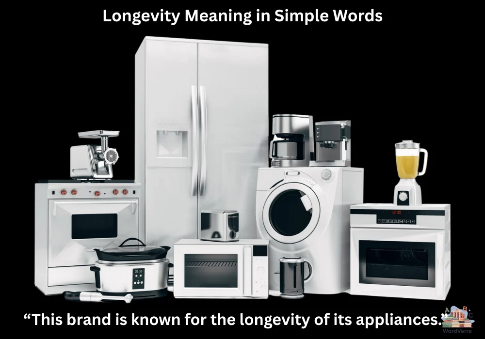Longevity Meaning in Simple Words