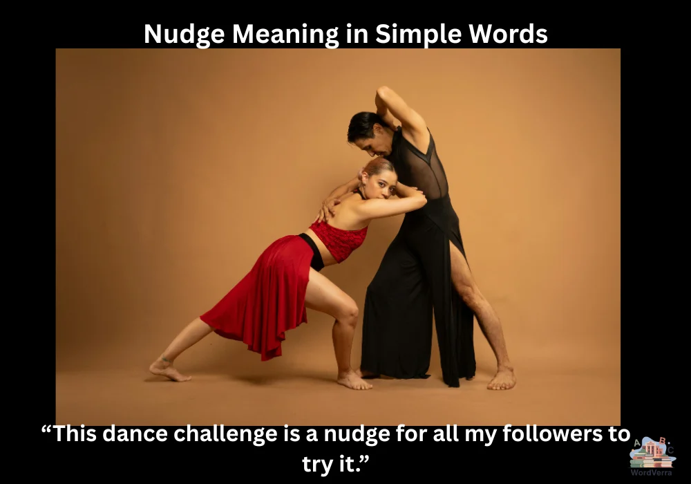 Nudge Meaning in Simple Words