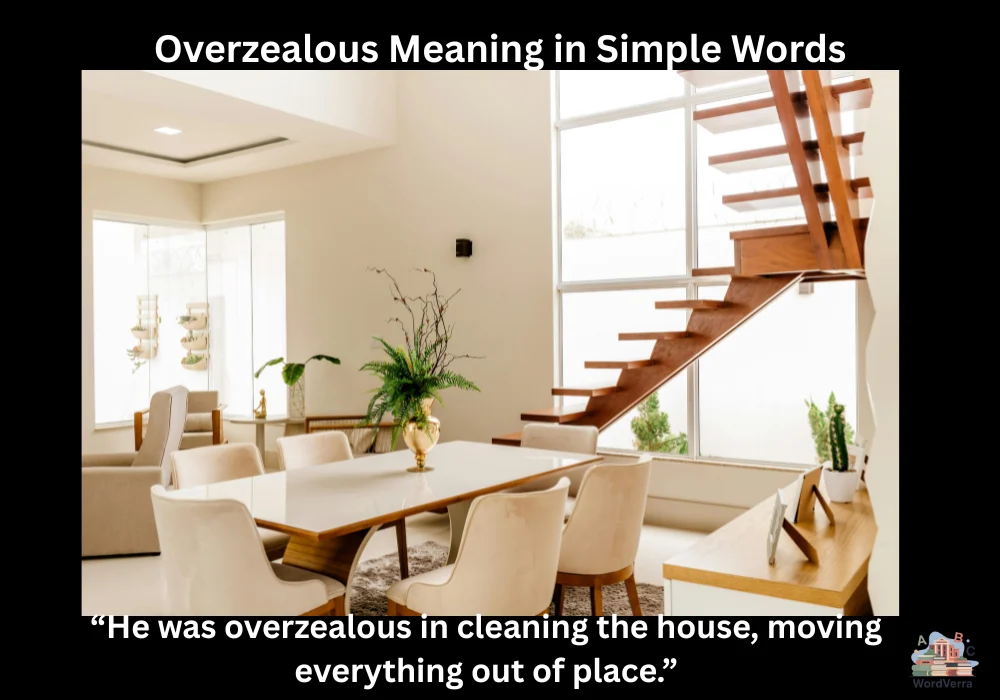 Overzealous Meaning in Simple Words