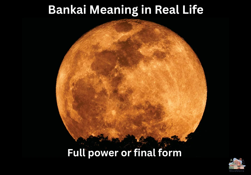 Bankai Meaning in Real Life