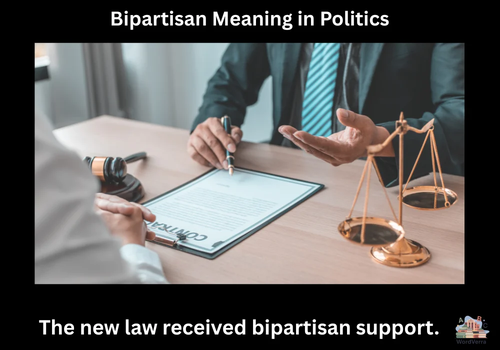 Bipartisan Meaning in Politics