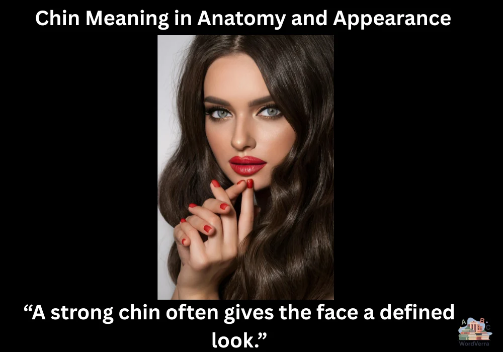 Chin Meaning in Anatomy and Appearance