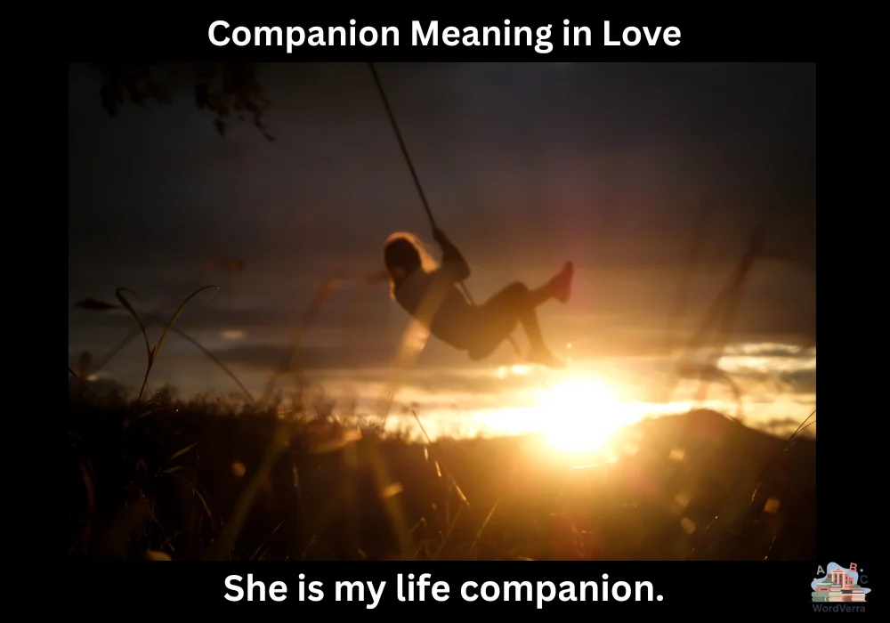 Companion Meaning in Love