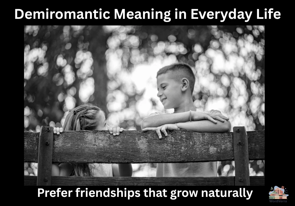Demiromantic Meaning in Everyday Life