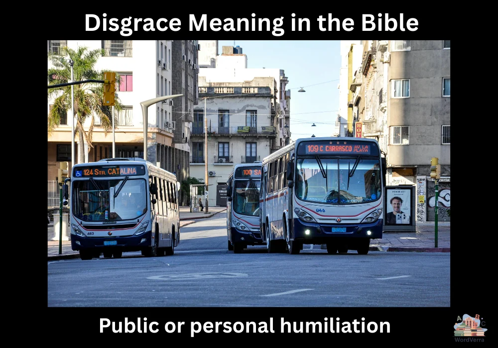 Disgrace Meaning in the Bible
