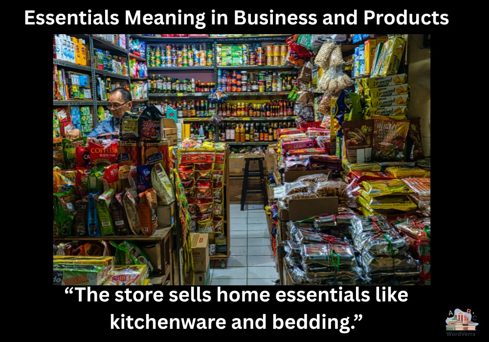 Essentials Meaning in Business and Products