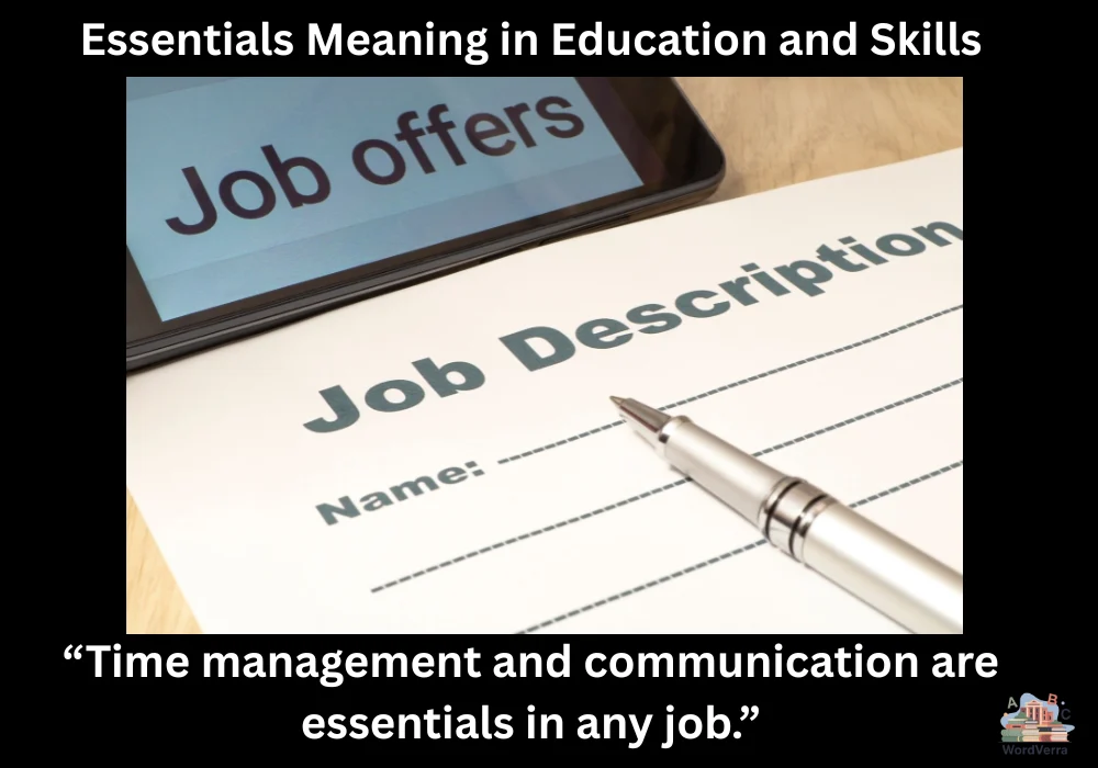 Essentials Meaning in Education and Skills