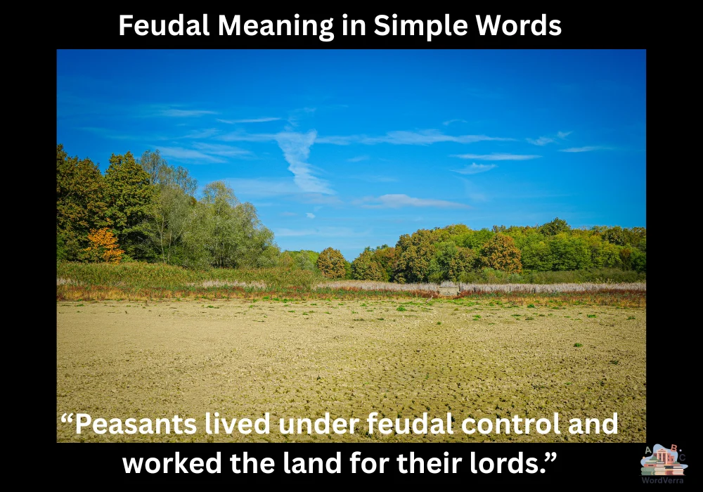 Feudal Meaning in Simple Words