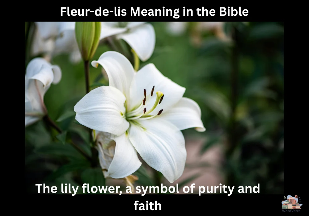 Fleur-de-lis Meaning in the Bible