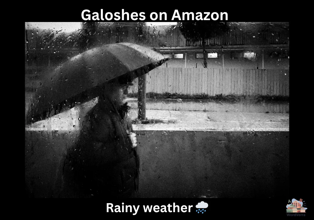 Galoshes on Amazon