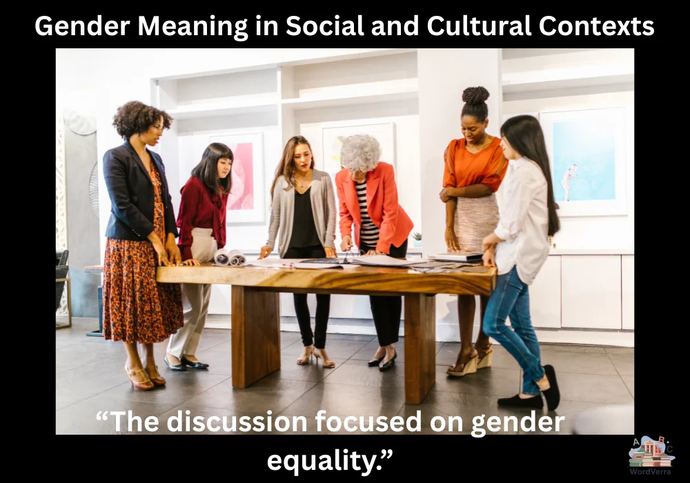 Gender Meaning in Social and Cultural Contexts