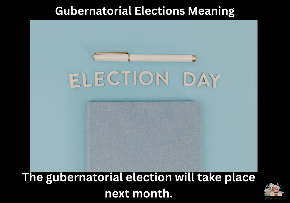 Gubernatorial Elections Meaning