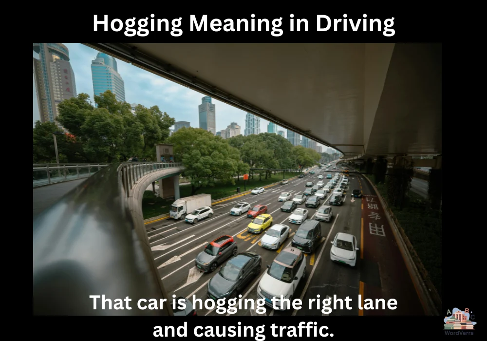 Hogging Meaning in Driving