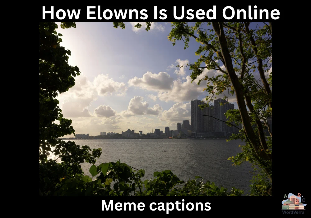 How Elowns Is Used Online