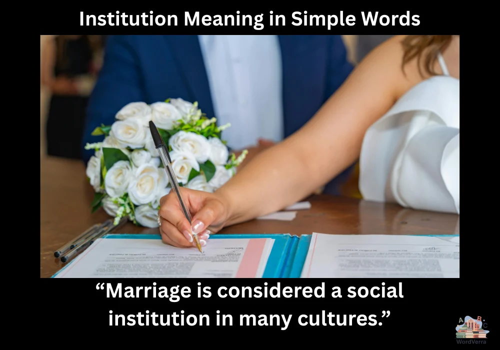 Institution Meaning in Simple Words