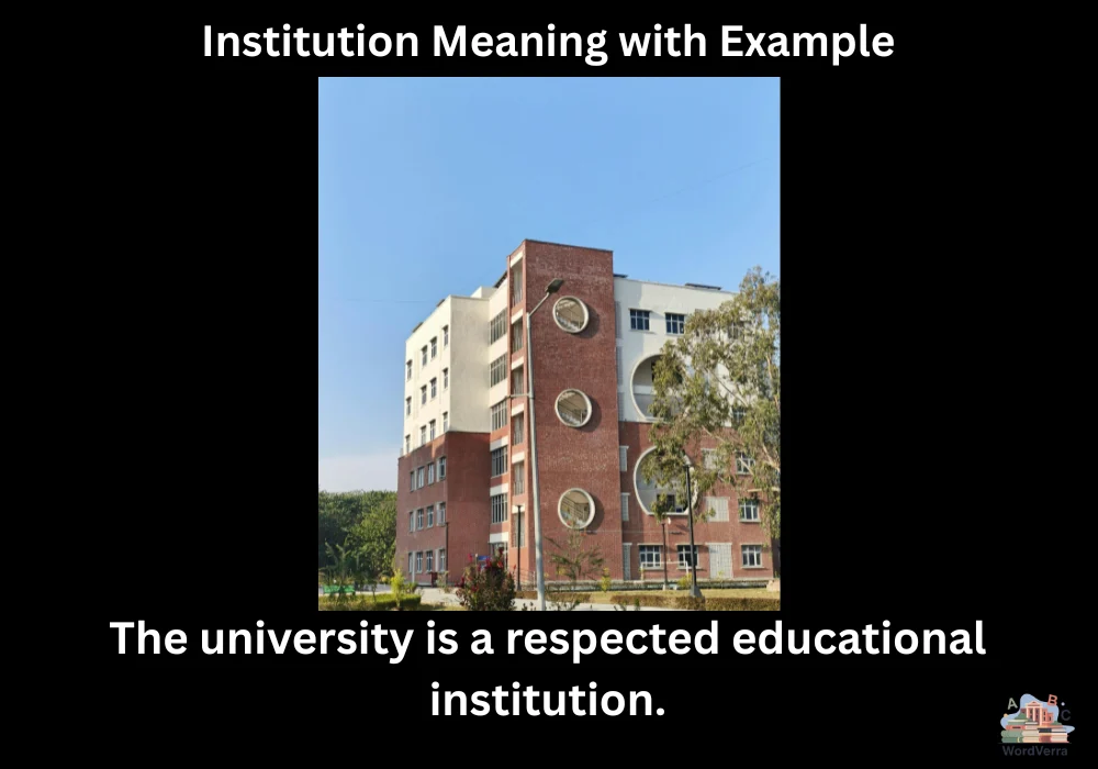 Institution Meaning with Example