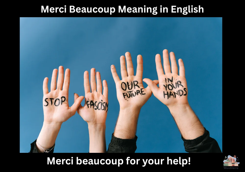 Merci Beaucoup Meaning in English