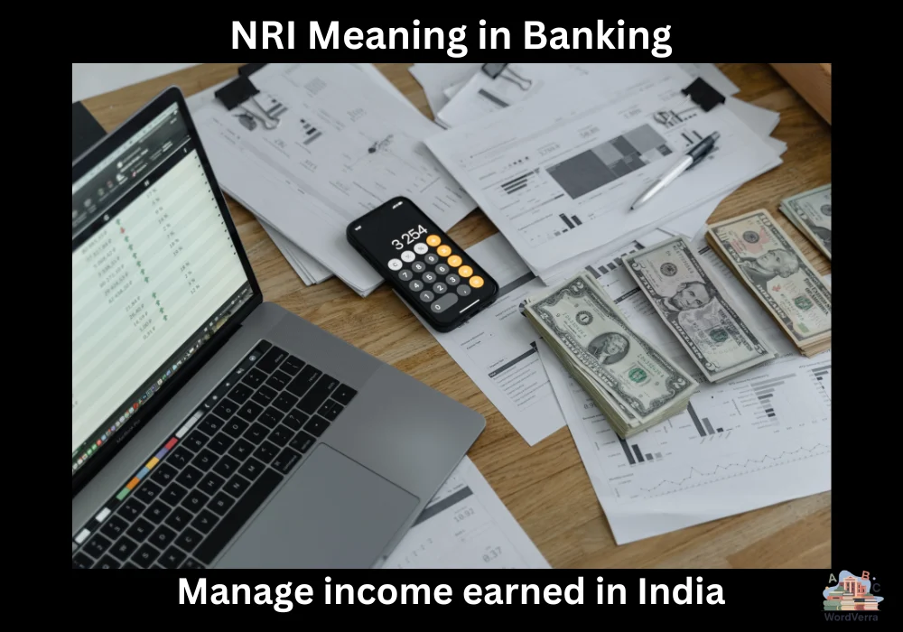 NRI Meaning in Banking
