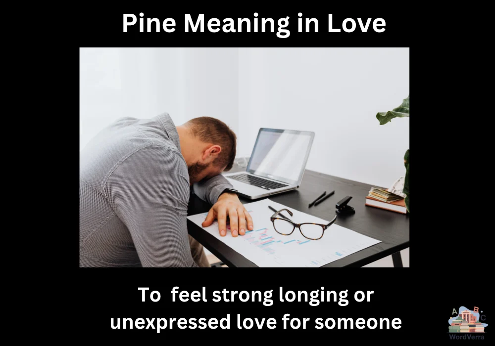 Pine Meaning in Love