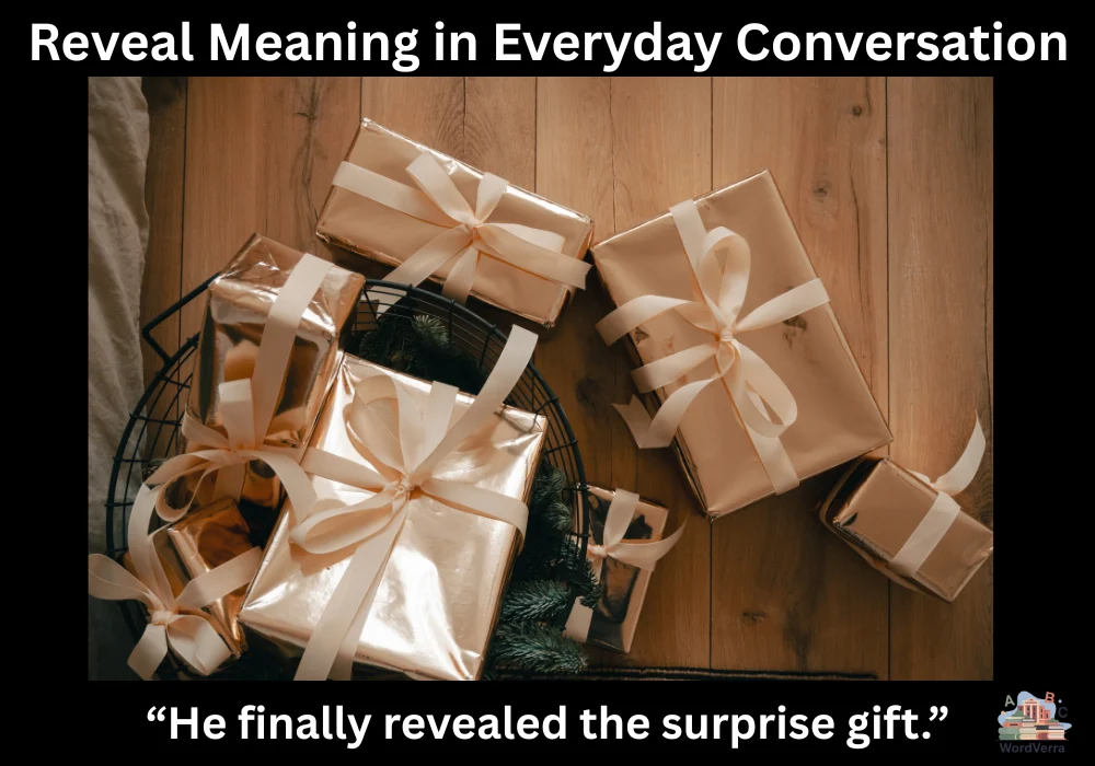 Reveal Meaning in Everyday Conversation