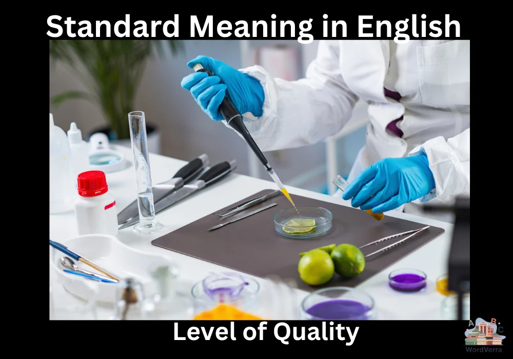 Standard Meaning in English