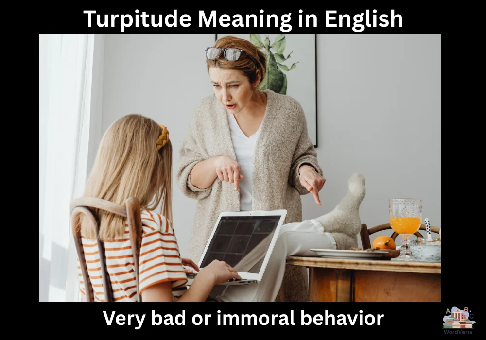 Turpitude Meaning in English