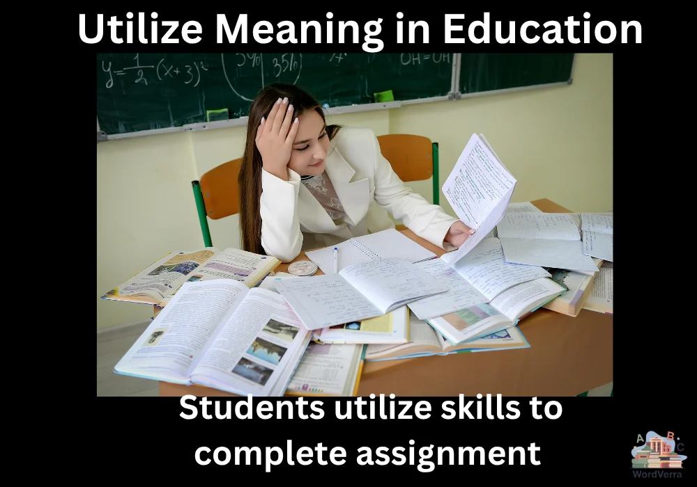 Utilize Meaning in Education