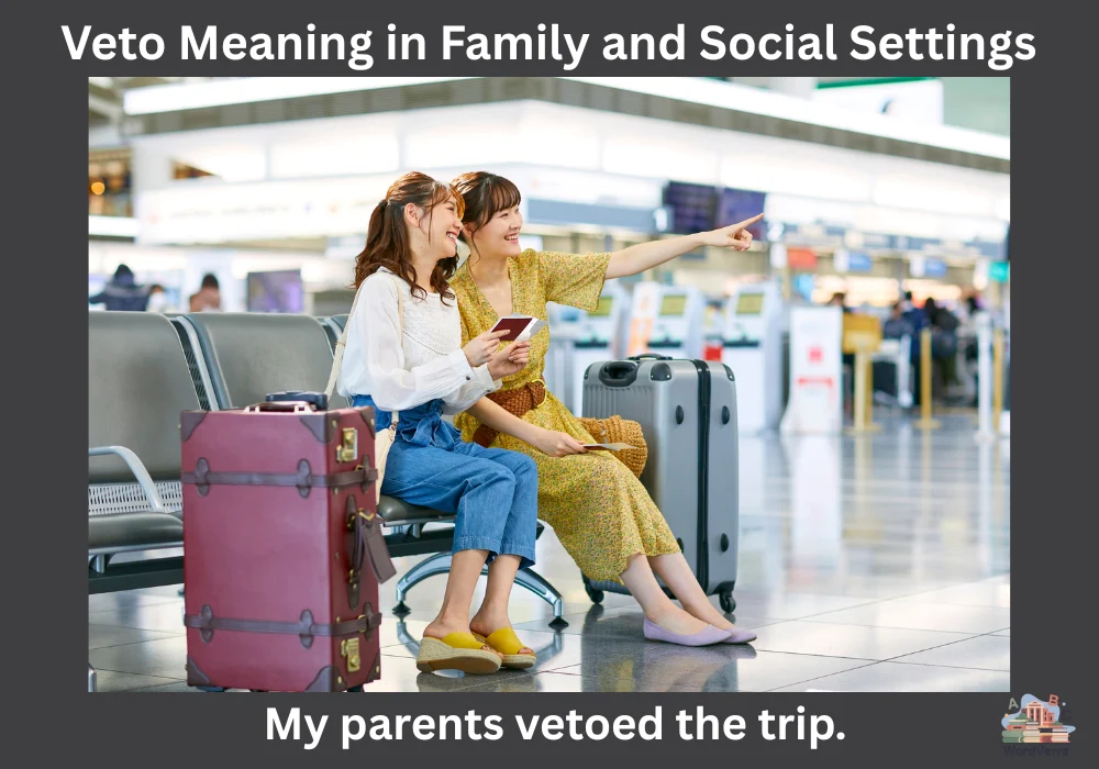 Veto Meaning in Family and Social Settings