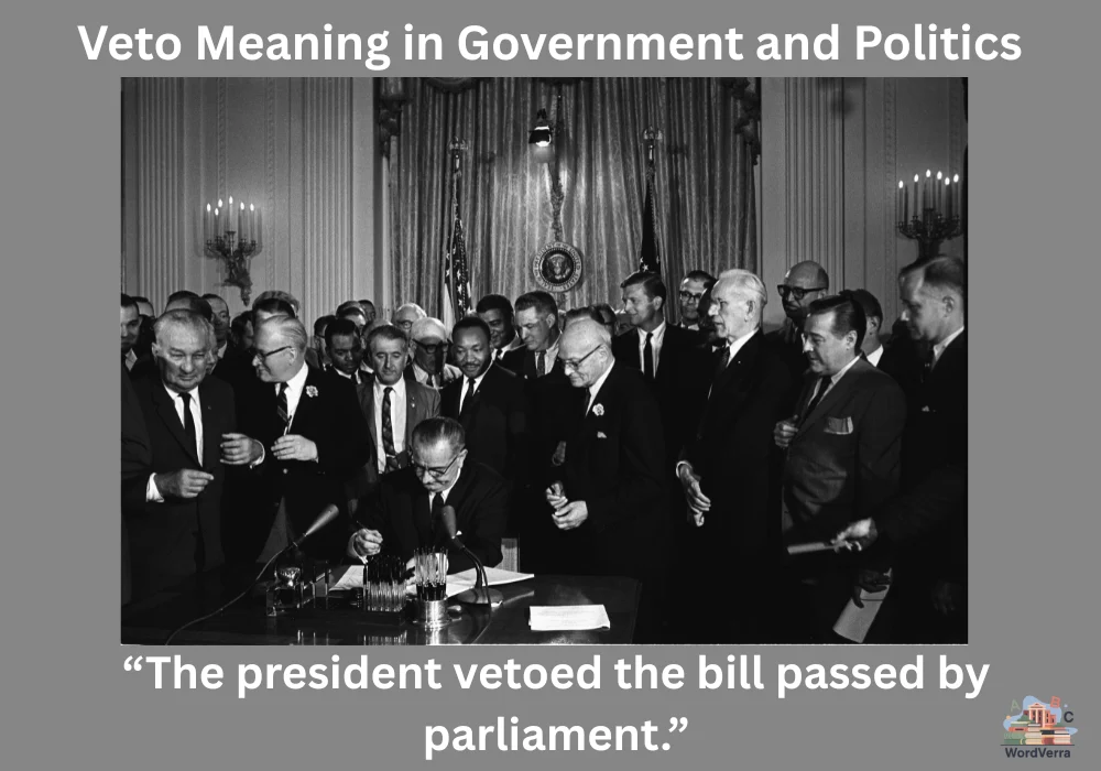 Veto Meaning in Government and Politics