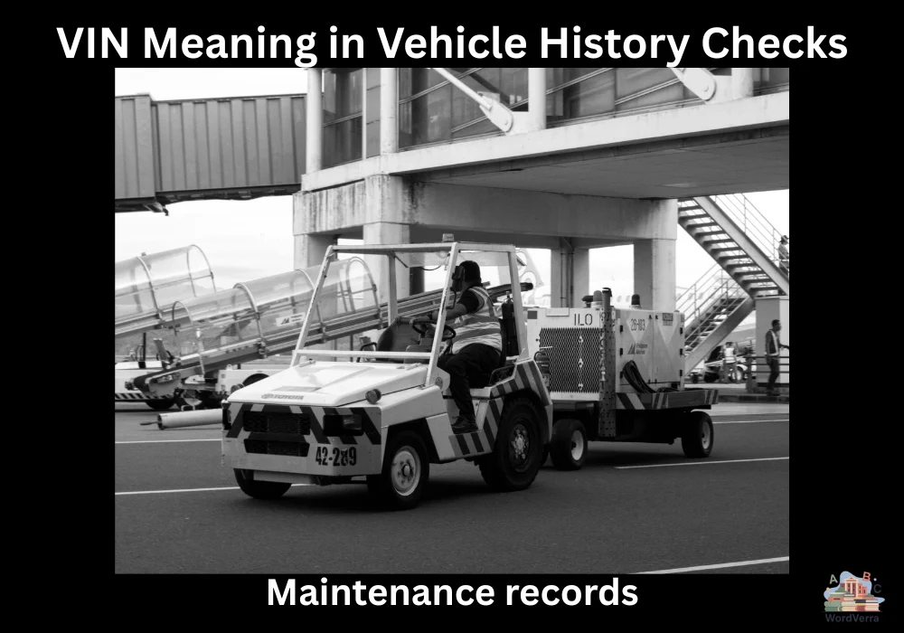 VIN Meaning in Vehicle History Checks