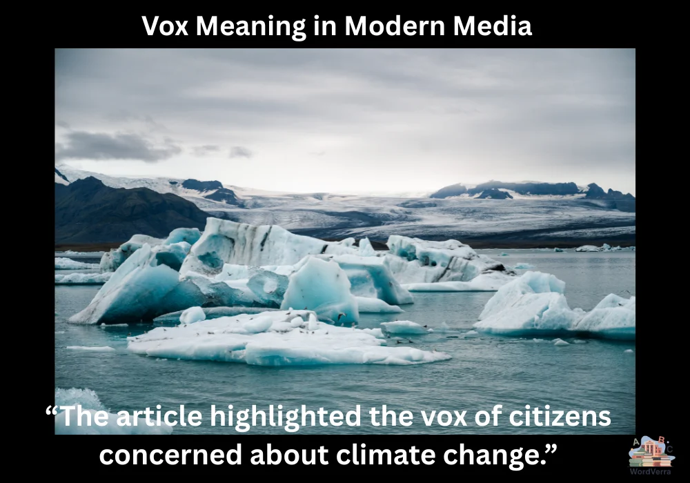 Vox Meaning in Modern Media