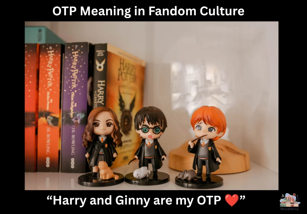 OTP Meaning in Fandom Culture