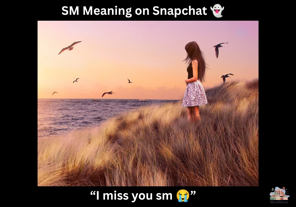 SM Meaning on Snapchat 👻