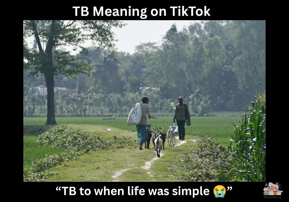 TB Meaning on TikTok