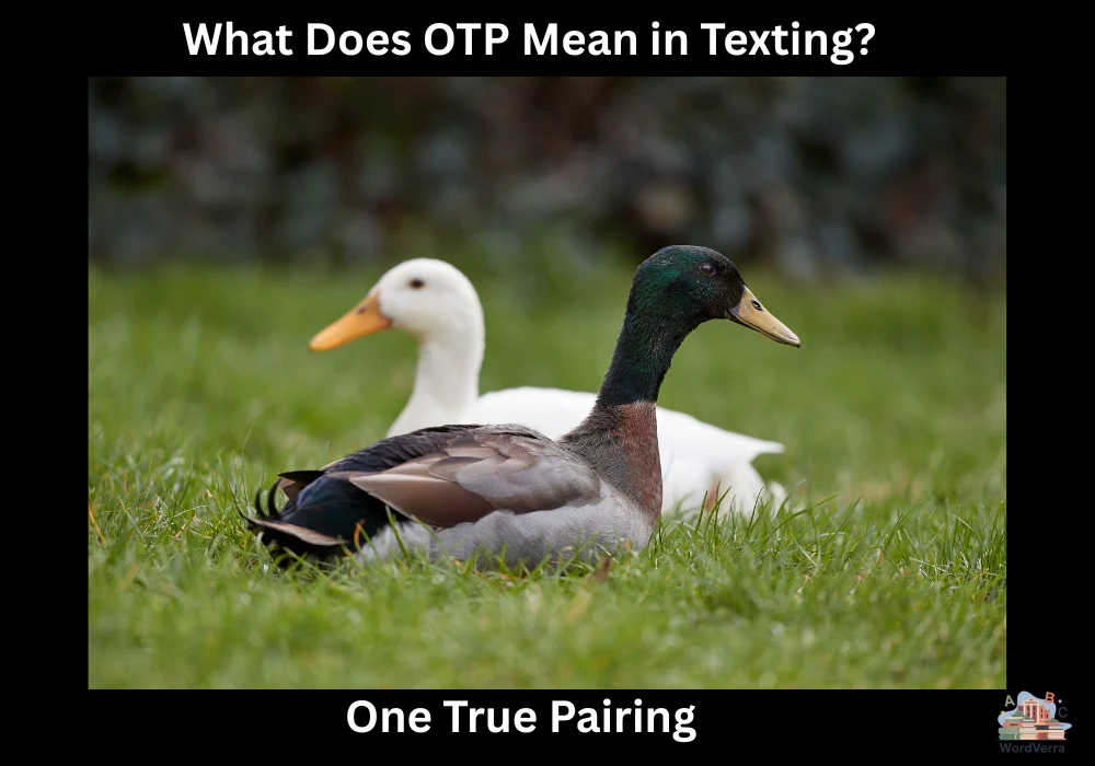 What Does OTP Mean in Texting?