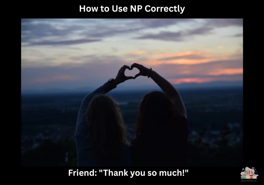How to Use NP Correctly
