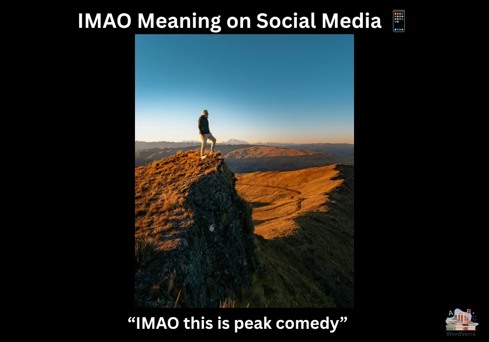 IMAO Meaning on Social Media 📱