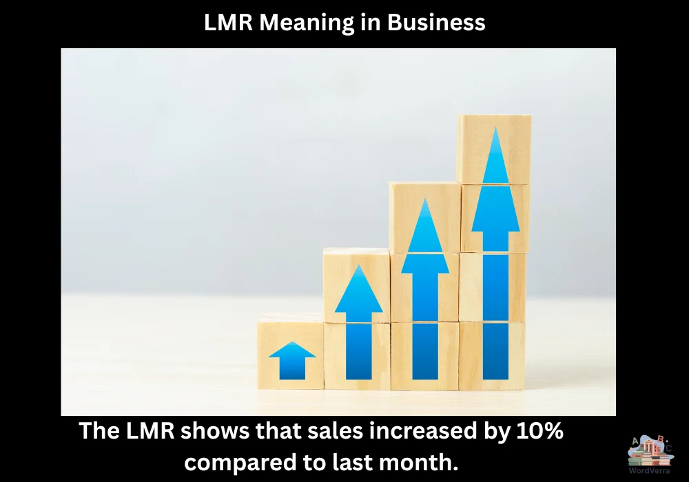 LMR Meaning in Business