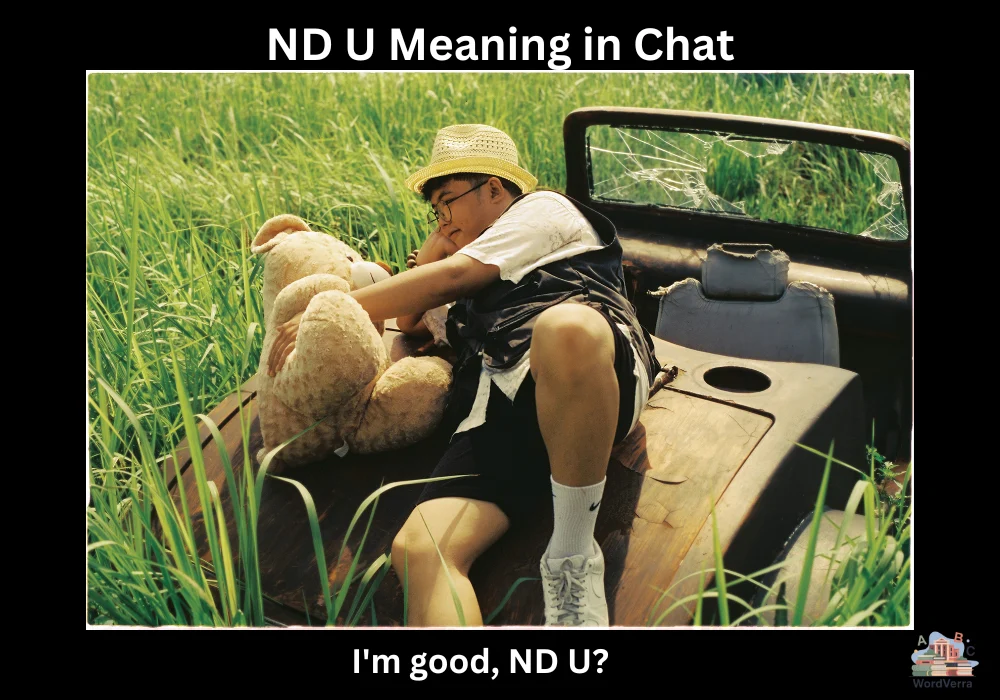 ND U Meaning in Chat