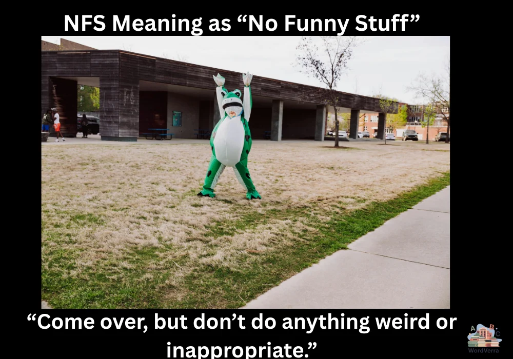 NFS Meaning as “No Funny Stuff”
