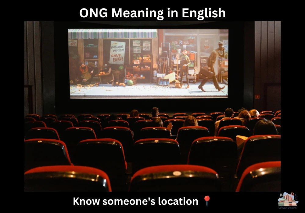 ONG Meaning in English