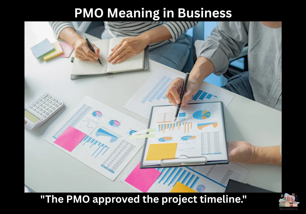 PMO Meaning in Business