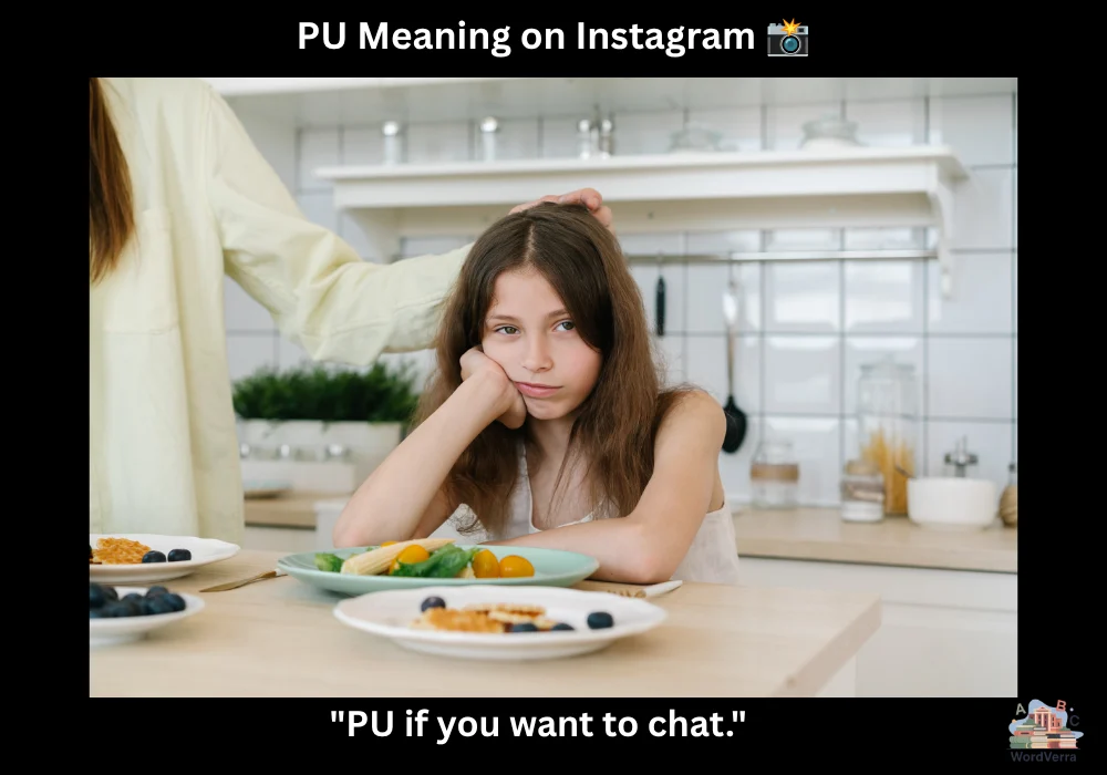 PU Meaning on Instagram 📸