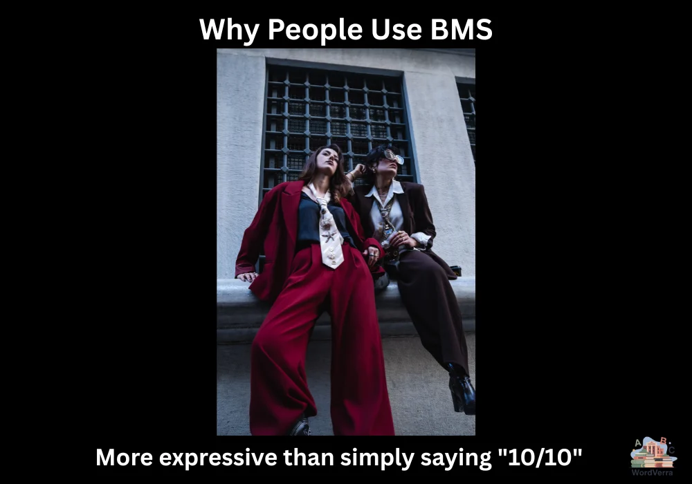 Why People Use BMS