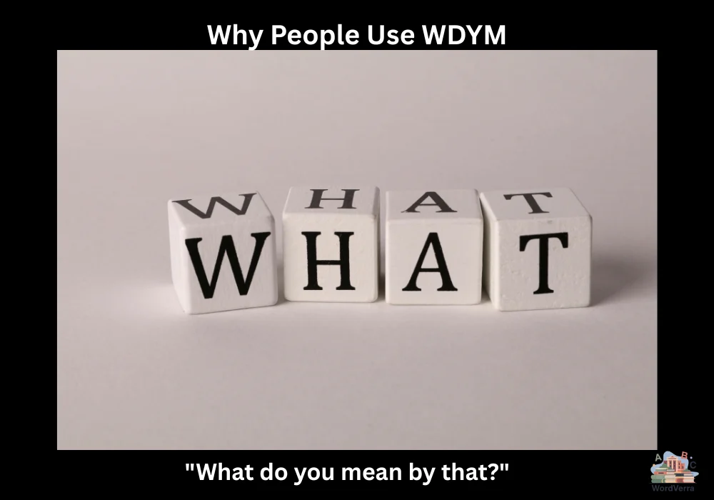 Why People Use WDYM