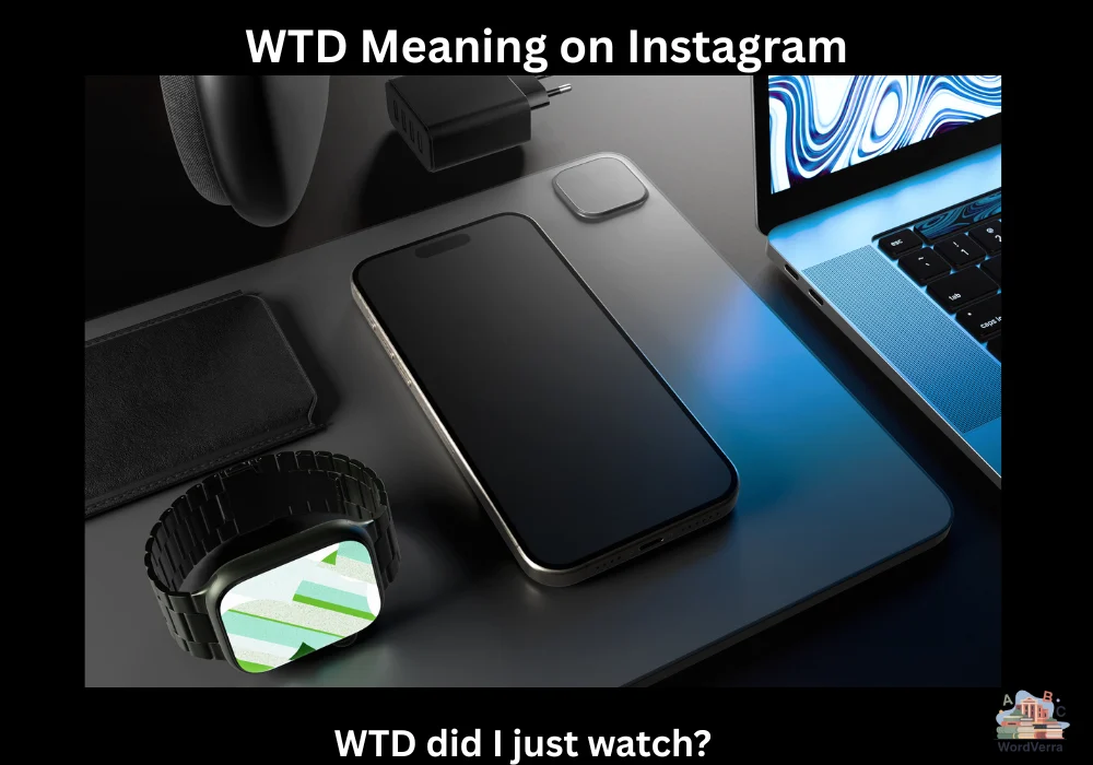 WTD Meaning on Instagram