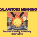 Calamitous Meaning: Definition, Usage, and Examples 2026
